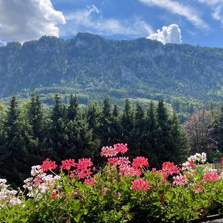 Ferienwohnung Mit Seeblick, Unterach Am Attersse Unterach am Attersee Bagian luar foto