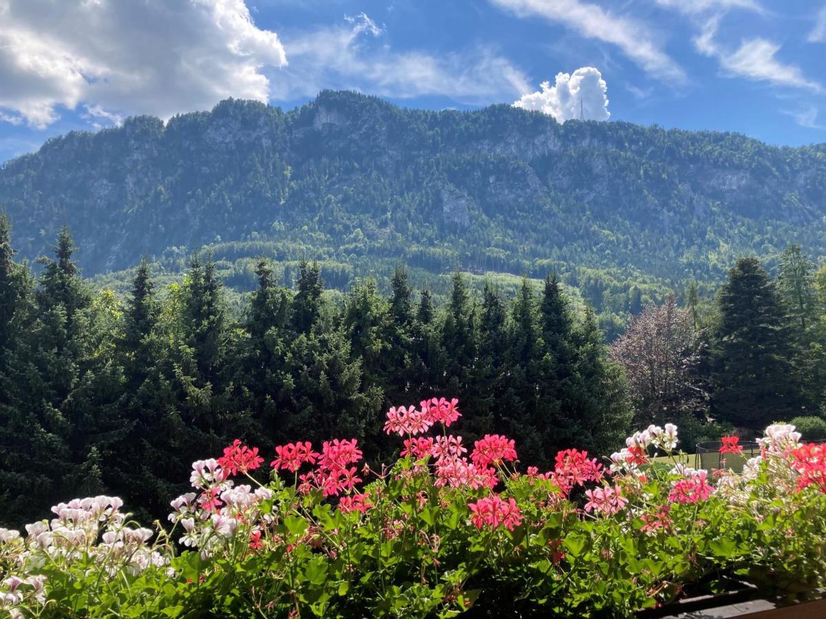 Ferienwohnung Mit Seeblick, Unterach Am Attersse Unterach am Attersee Bagian luar foto